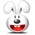 超級兔子加速王 V2.0.0.3 免費安裝版