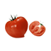 番茄花园Win10 21H1 64位专业版 V2021.06
