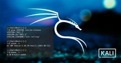 KALI Linux V2021.2 官方原版系統