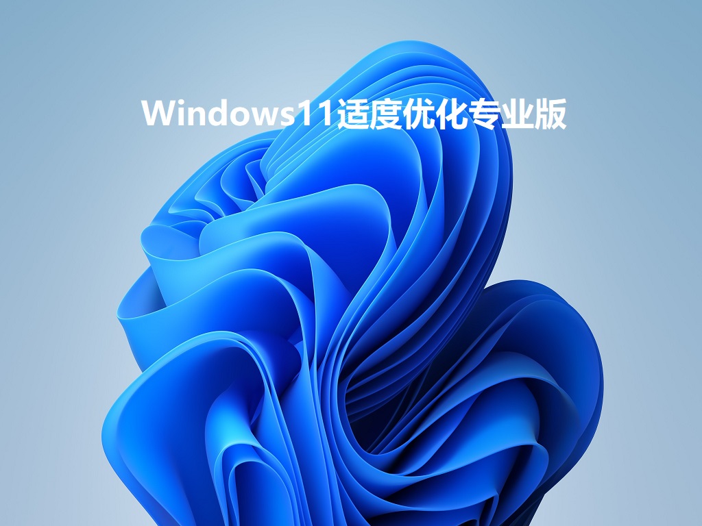Windows11 Pro 22000.120 适度优化二合一精简版 V2021.08