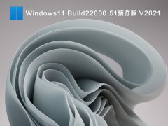 Windows11 Build22000.51预览版 V2021
