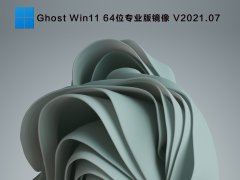 Ghost Win11 64位专业版镜像 V2021.07