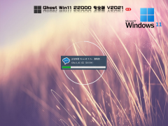 微软Windows 11 Insider Preview 22000.184 V2021.09