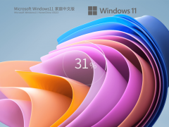Windows11 22621.1555 X64 家庭中文版