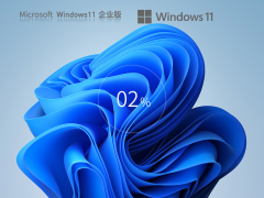 Windows 11 22H2 64位 中文企业版 V2023.05