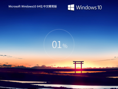 Windows10 22H2 64位 中文精简版 V2023