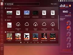 Ubuntu Unity在线搜索只显示终端应用的技巧