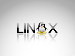 Linux系统如何重新挂载var分区
