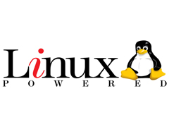 Linux使用ODBC方式还是DBI方式安装R语言扩展包好？