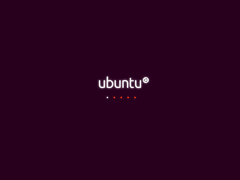 Ubuntu 13.04 X64׼棨64λ