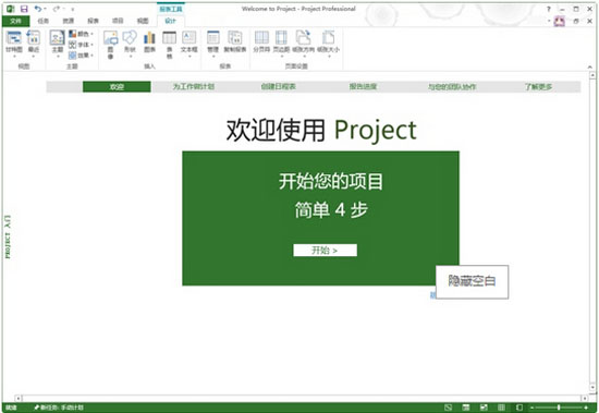 Office Project Professional 2013 İ