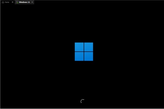 Windows11 X64 Pro 21H2