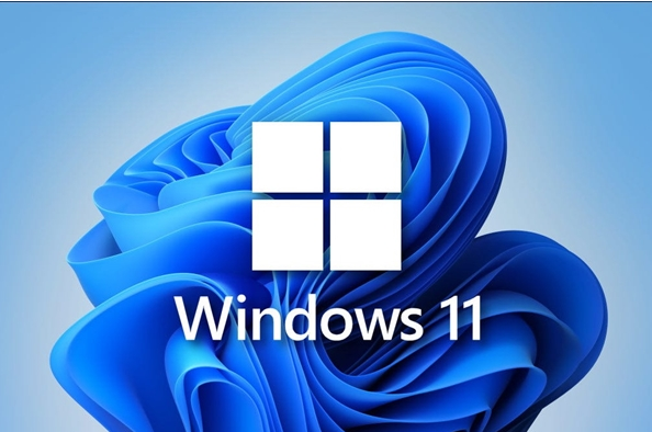 Windows11 Build22000.100