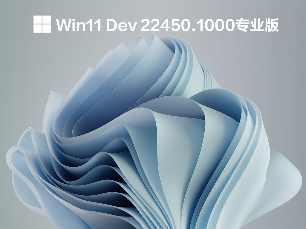 Win11 Dev 22450.1000רҵװ V2021.09