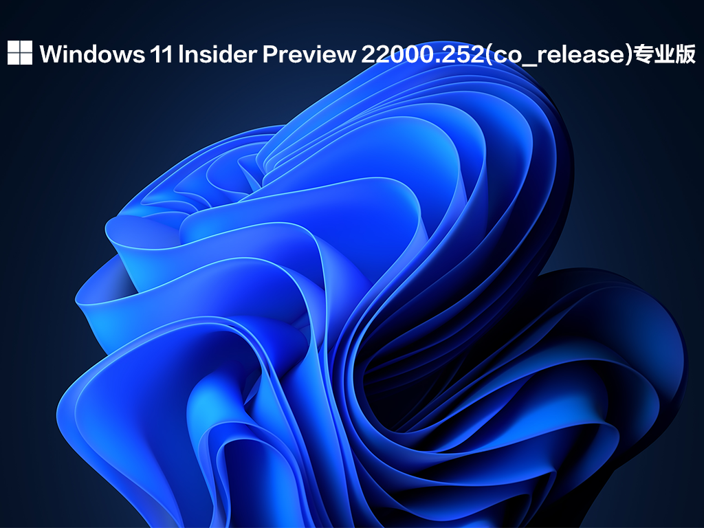 Windows 11 lnsider Preview 22000.252(co_release)רҵ V2021