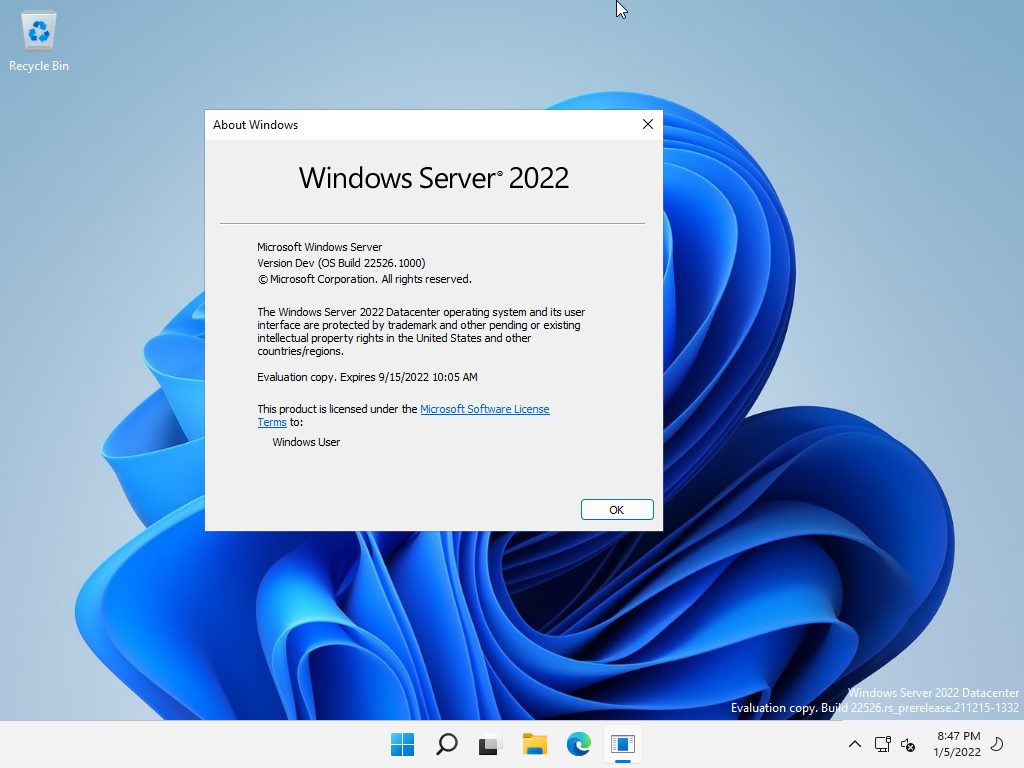 Windows11 24H2 LTSC ٷDev V22526.1000