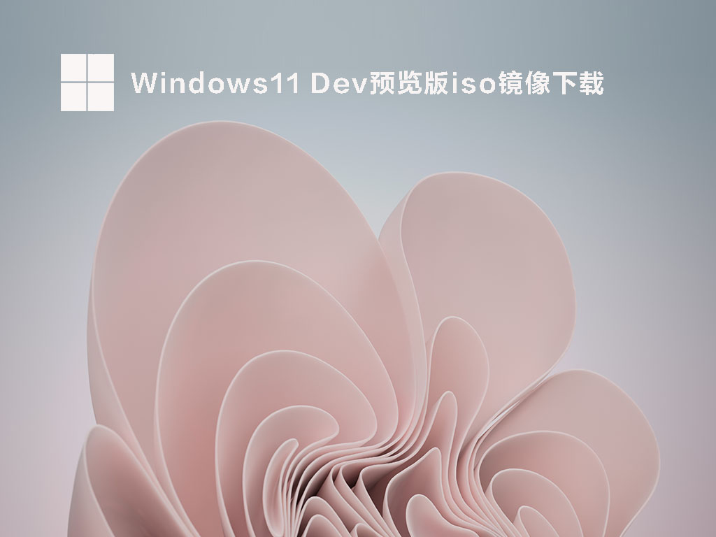 Windows11 DevԤiso V22598.100