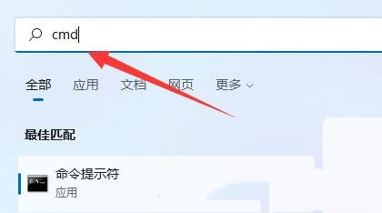 电脑提示Windows无法访问指定设备路径怎么办?Win11提示Windows无法访问指定设备路径或文件的解决步骤 
