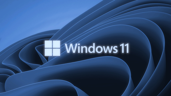 Windows11 Dev 25174.1000