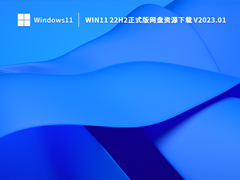 Win11 22H2正式版网盘资源下载 V2023.01