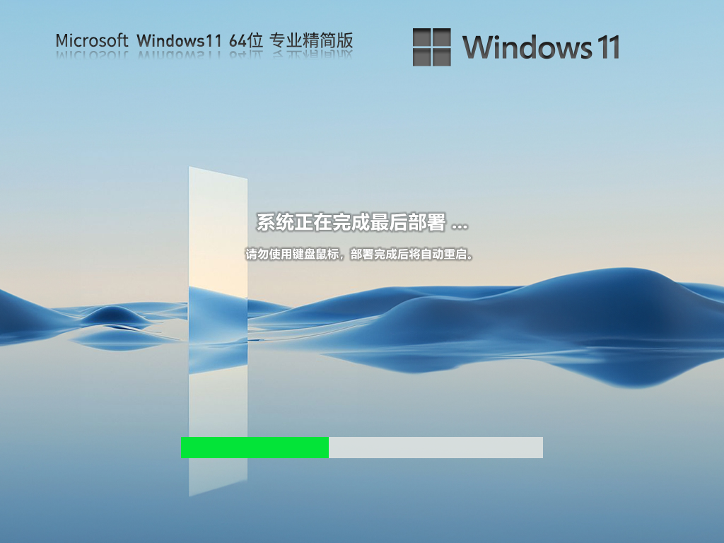 Windows11 22H2 64λ רҵ V2023.08
