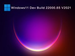 Windows11 Dev Build 22000.65 V2021