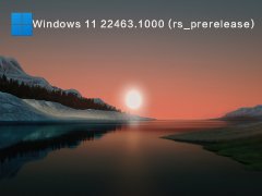 Windows 11 22463.1000 (rs_prerelease) V2021.09