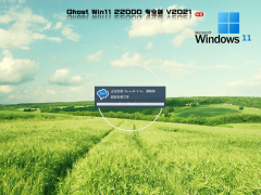 Windows 11 רҵС޾ V22000.258