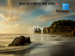 Windows11 10.0.22000.376 רҵ V2021