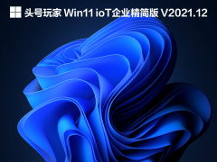 ͷ Win11 ioTҵ V2021.12