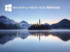 Win10 Pro 19044.1620 רҵ V2022.04