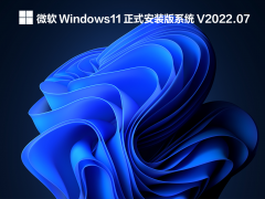 ΢ Windows11 ʽװϵͳ V2022.07