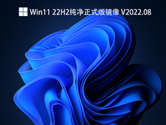 Win11 22H2ʽ澵 V2022.08