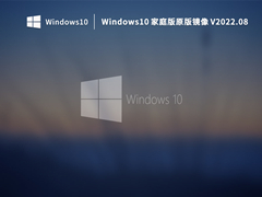 Windows10 ͥԭ澵 V2022.08