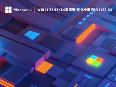 Win11 22H2 X64家庭版(优化免激活) V2023.03