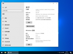 Windows10 20H2 64λ רҵ V2022.11