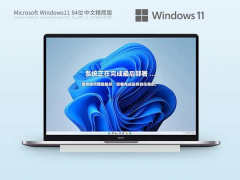 Windows11 22H2 64λ ���ľ����